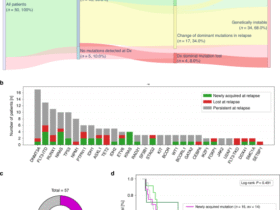 Mutational landscape changes of AML in patients relapsing after allogeneic hematopoietic cell transplantation