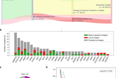 Mutational landscape changes of AML in patients relapsing after allogeneic hematopoietic cell transplantation