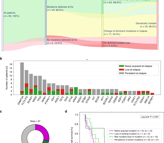 Mutational landscape changes of AML in patients relapsing after allogeneic hematopoietic cell transplantation
