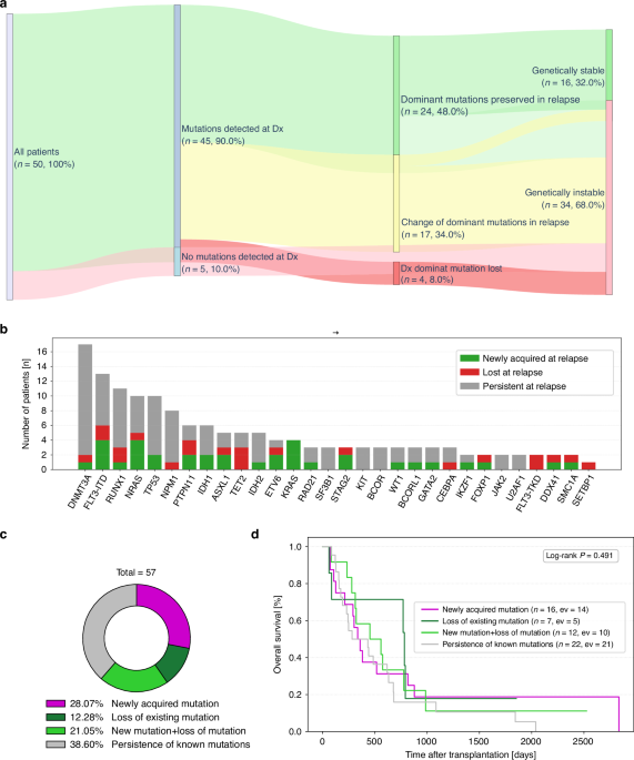 Mutational landscape changes of AML in patients relapsing after allogeneic hematopoietic cell transplantation
