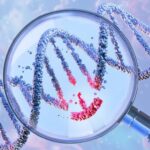 NIH-funded breakthrough shrinks CRISPR for precision delivery in the body