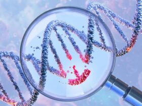 NIH-funded breakthrough shrinks CRISPR for precision delivery in the body