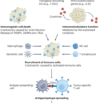 Oncolytic viruses and cytokine-based gene therapies reprogram the tumor microenvironment