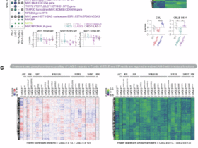 PD-1/LAG-3 signaling rewires T-cells via MYC inhibition