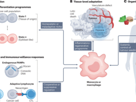 Pathophysiological roles of monocytes and macrophages in cancer