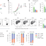 Purine salvage pathway protects CD8+ T cells from metabolic stress