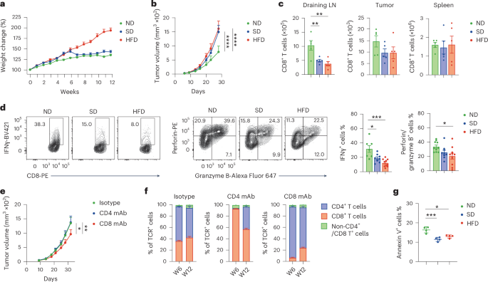 Purine salvage pathway protects CD8+ T cells from metabolic stress