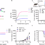 Reprogramming the tumor microenvironment with antibody against membrane-proximal AXL to overcome immune checkpoint blockade resistance