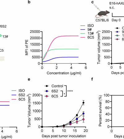 Reprogramming the tumor microenvironment with antibody against membrane-proximal AXL to overcome immune checkpoint blockade resistance