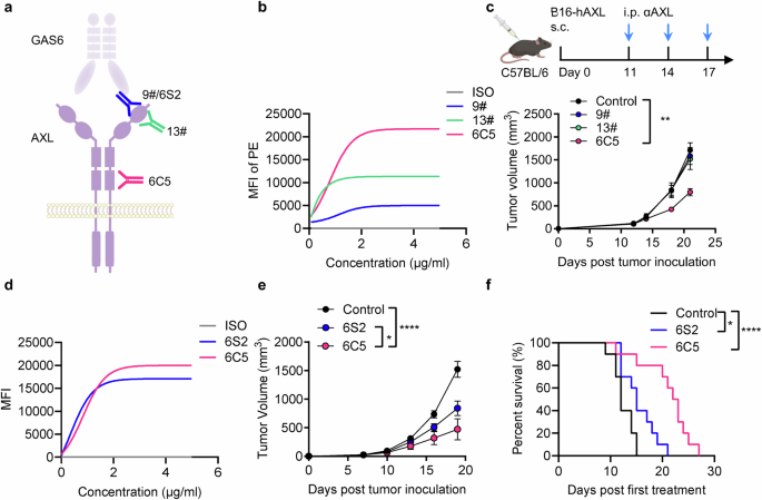 Reprogramming the tumor microenvironment with antibody against membrane-proximal AXL to overcome immune checkpoint blockade resistance