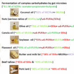 Short-, medium-, versus long-chain fatty acids: mechanisms of immunomodulation and disease pathogenesis