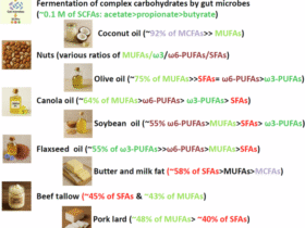 Short-, medium-, versus long-chain fatty acids: mechanisms of immunomodulation and disease pathogenesis