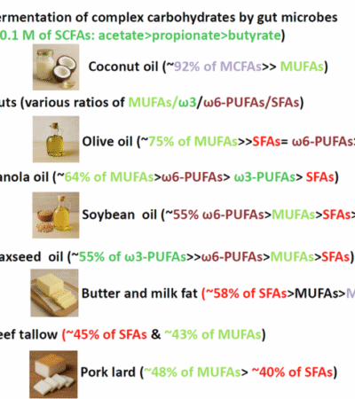 Short-, medium-, versus long-chain fatty acids: mechanisms of immunomodulation and disease pathogenesis