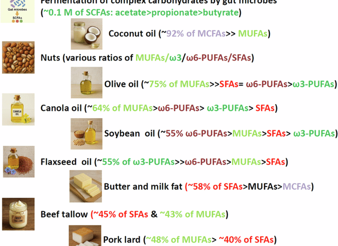Short-, medium-, versus long-chain fatty acids: mechanisms of immunomodulation and disease pathogenesis