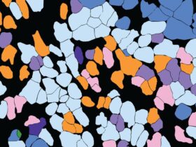 Single-cell TCR mapping reveals spatially coordinated T cell states in head and neck cancer | Science Immunology