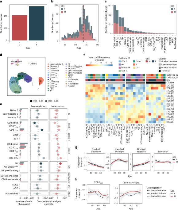 Single-cell analysis of the human immune system reveals sex-specific dynamics of immunosenescence