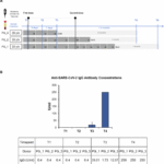 Single-cell mapping of peripheral immune dynamics in pregnant women after Moderna mRNA COVID-19 vaccination