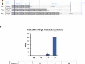 Single-cell mapping of peripheral immune dynamics in pregnant women after Moderna mRNA COVID-19 vaccination