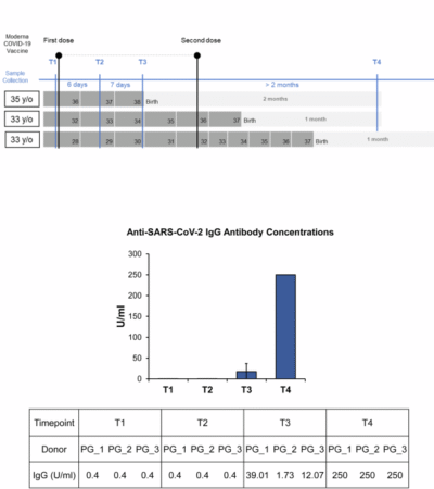 Single-cell mapping of peripheral immune dynamics in pregnant women after Moderna mRNA COVID-19 vaccination