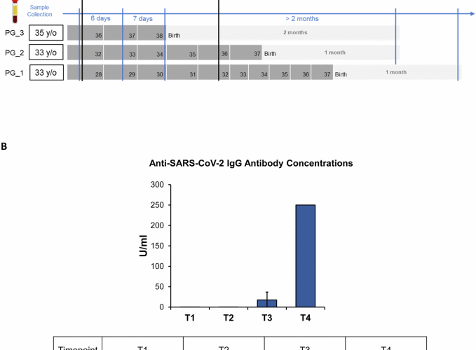 Single-cell mapping of peripheral immune dynamics in pregnant women after Moderna mRNA COVID-19 vaccination