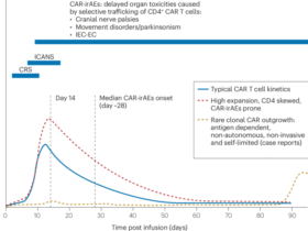 Spectrum, pathobiology, mechanistic insights and diagnostic challenges of post-CAR T cell therapy lymphoproliferative disorders