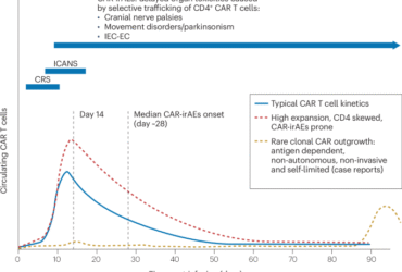 Spectrum, pathobiology, mechanistic insights and diagnostic challenges of post-CAR T cell therapy lymphoproliferative disorders