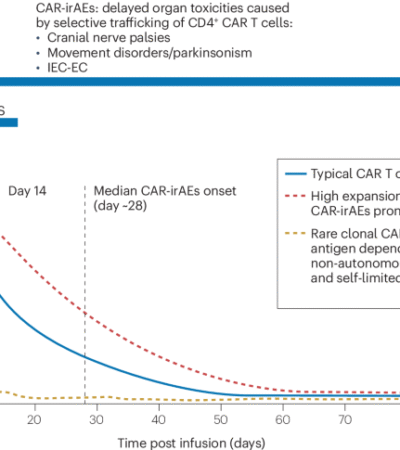 Spectrum, pathobiology, mechanistic insights and diagnostic challenges of post-CAR T cell therapy lymphoproliferative disorders