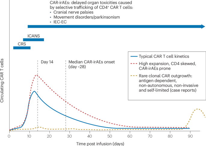 Spectrum, pathobiology, mechanistic insights and diagnostic challenges of post-CAR T cell therapy lymphoproliferative disorders