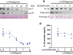 TH5487 specifically targets NLRP3 in FCAS patients resistant to MCC950