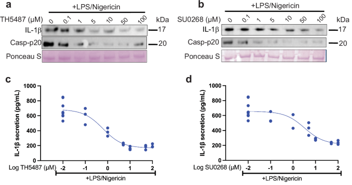 TH5487 specifically targets NLRP3 in FCAS patients resistant to MCC950