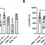 TLR7/8 signaling balances cytokine responses in neonatal monocytes