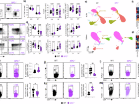 Th17 cells require the DNA repair sensor xeroderma pigmentosum complementation Group C to control oxidative DNA damage in a murine model
