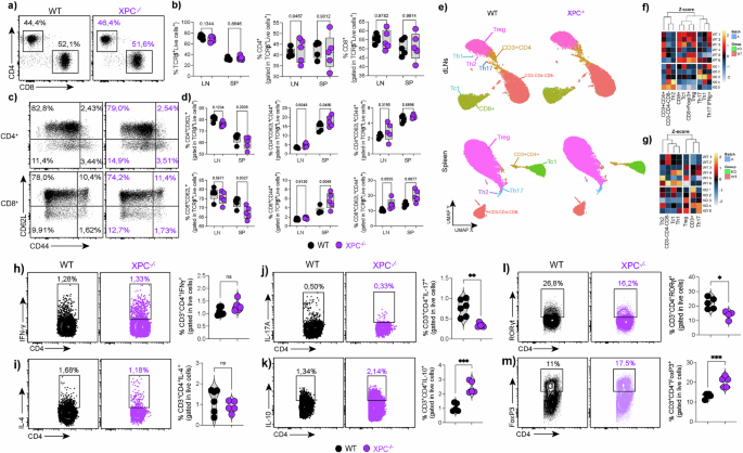 Th17 cells require the DNA repair sensor xeroderma pigmentosum complementation Group C to control oxidative DNA damage in a murine model
