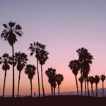 The Astrology Behind April's Aries New Moon + How To Work With IT