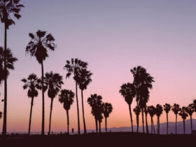 The Astrology Behind April's Aries New Moon + How To Work With IT