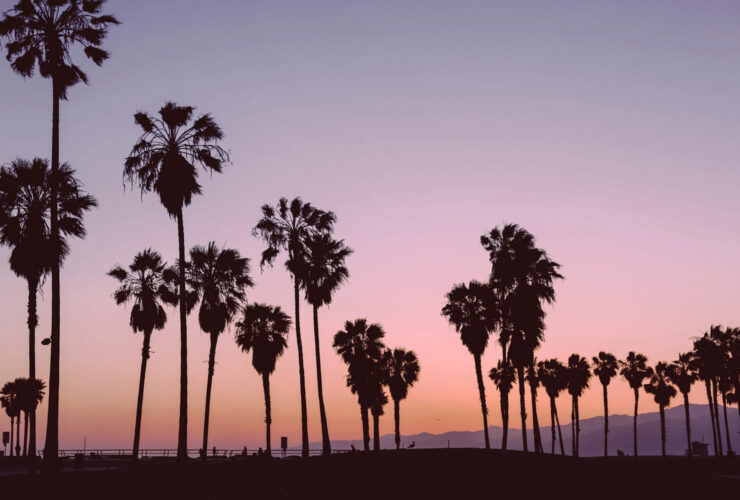 The Astrology Behind April's Aries New Moon + How To Work With IT