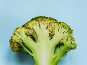 The Healthiest Way to Cook Broccoli for Maximum Antioxidants