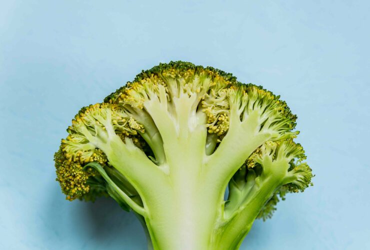 The Healthiest Way to Cook Broccoli for Maximum Antioxidants