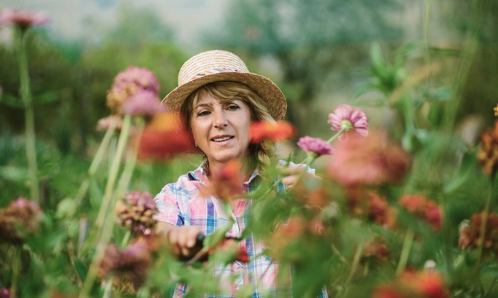 The Hidden Brain Cells That Clear Alzheimer's-Linked Tau Protein