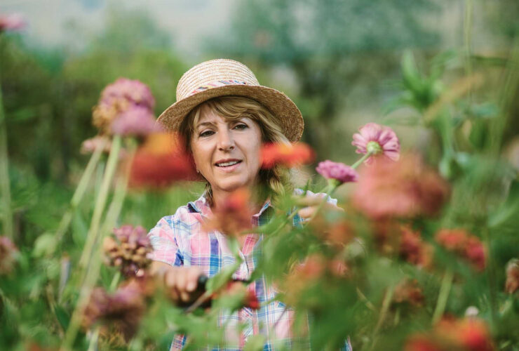 The Hidden Brain Cells That Clear Alzheimer's-Linked Tau Protein