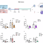The contributions of TLR2, TLR8 and TLR3 to direct and antibody-dependent enhancement of dengue virus serotype 2 infection