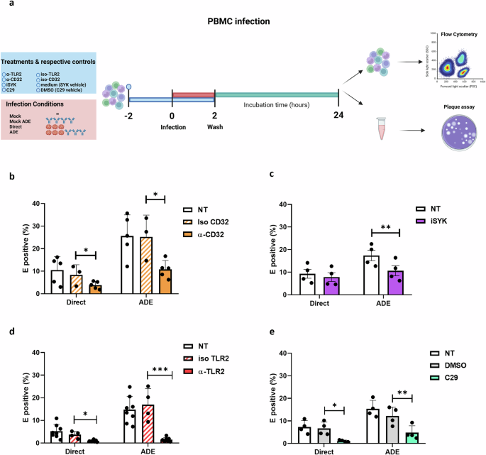 The contributions of TLR2, TLR8 and TLR3 to direct and antibody-dependent enhancement of dengue virus serotype 2 infection