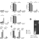 Trifluoperazine causes mast cell apoptosis through a secretory granule-mediated pathway