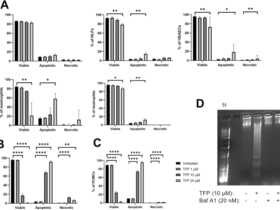 Trifluoperazine causes mast cell apoptosis through a secretory granule-mediated pathway
