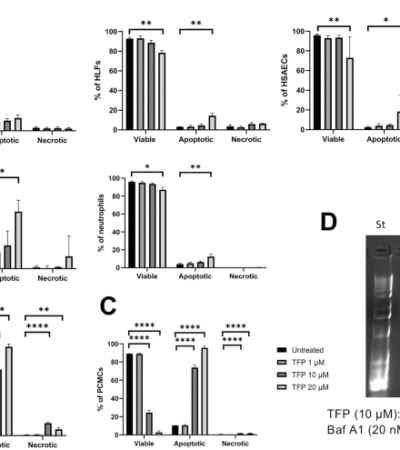 Trifluoperazine causes mast cell apoptosis through a secretory granule-mediated pathway