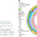 Tumor DNA methylation subtypes predict immunotherapy outcomes in pleural mesothelioma patients in the NIBIT-EPI-MESO study
