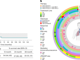 Tumor DNA methylation subtypes predict immunotherapy outcomes in pleural mesothelioma patients in the NIBIT-EPI-MESO study