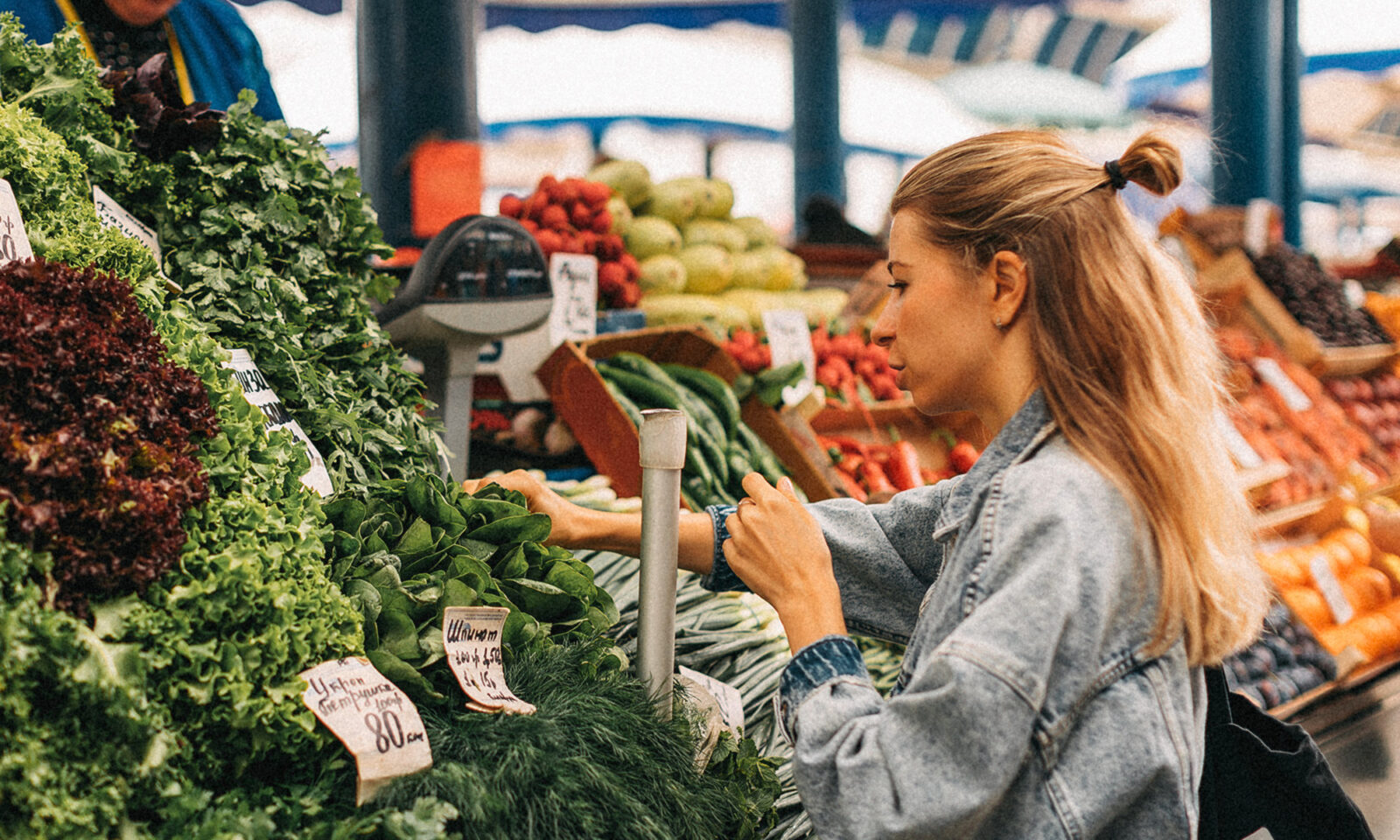 Two Compounds in Dandelion Calm Inflammation At The Cellular Level