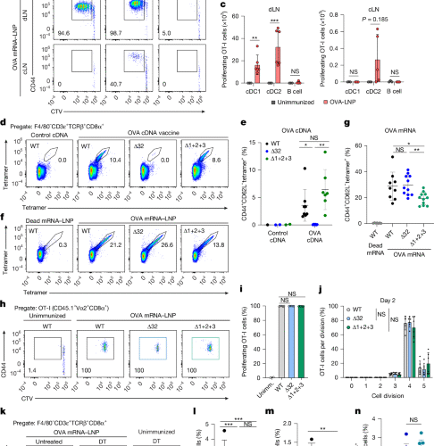 mRNA vaccines engage unconventional pathways in CD8+ T cell priming