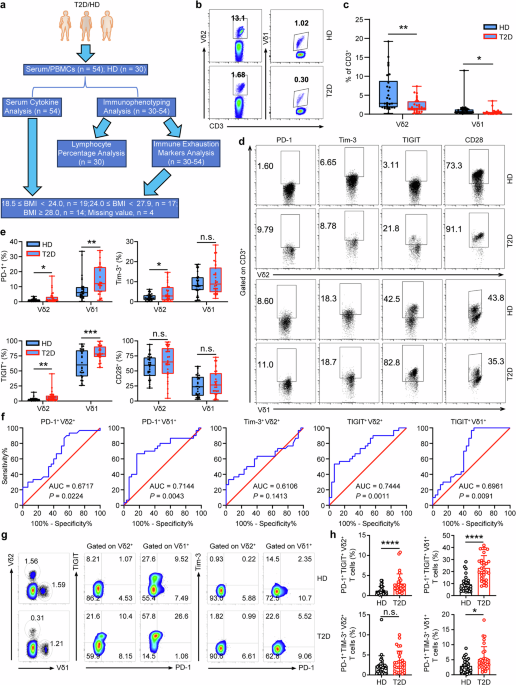 γδ T cell exhaustion is associated with obesity in individuals with type 2 diabetes